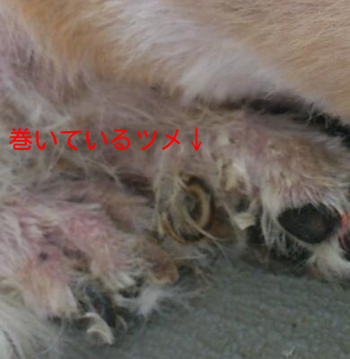 b0237894_17472133.png