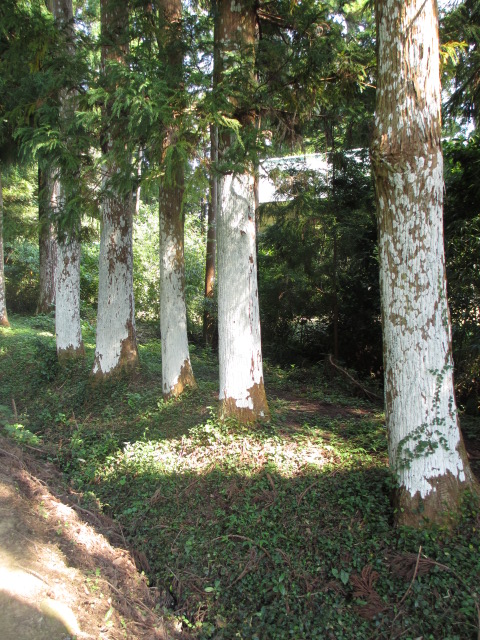 a0193698_20122051.jpg