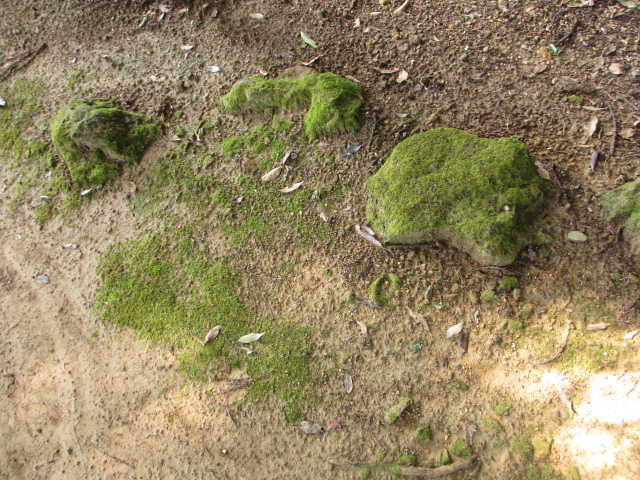 a0193698_20204939.jpg