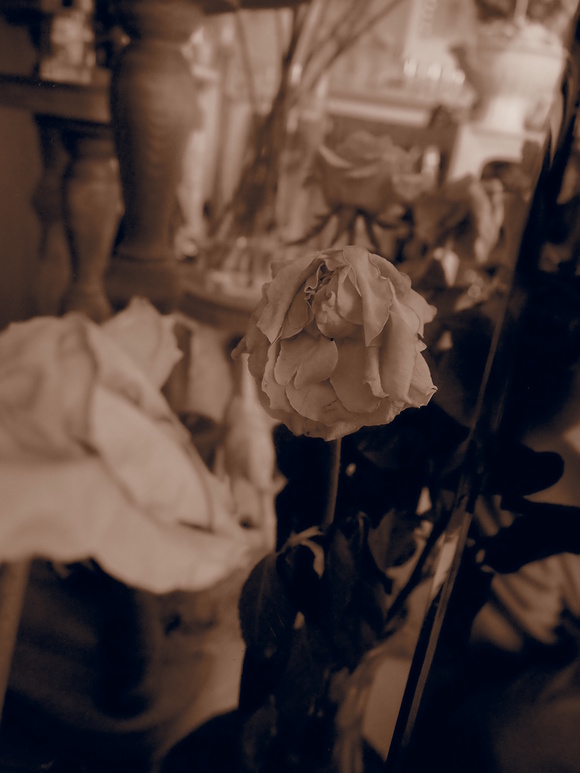d0241401_1492623.jpg