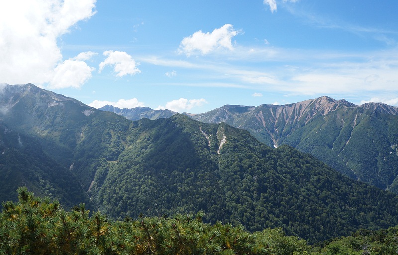 a0158702_16151864.jpg