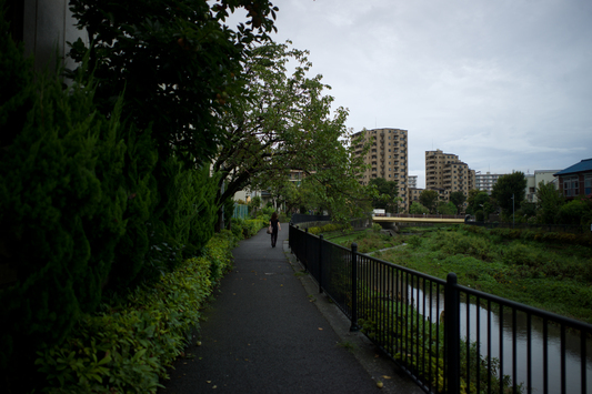 久しぶりに雨_a0271402_22215733.jpg