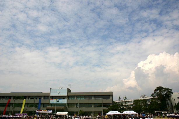e0254806_2336761.jpg
