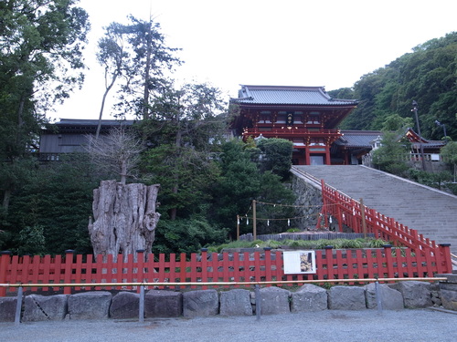 a0167308_1019379.jpg