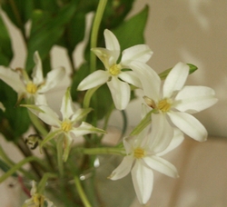 b0241310_2133460.jpg