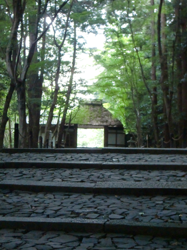 e0240310_1416159.png