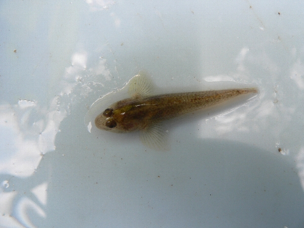 e0002314_19335059.jpg
