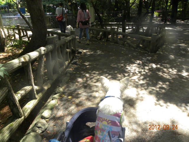 b0203018_17201212.jpg