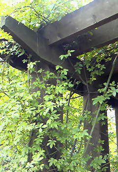 f0227218_22195845.png