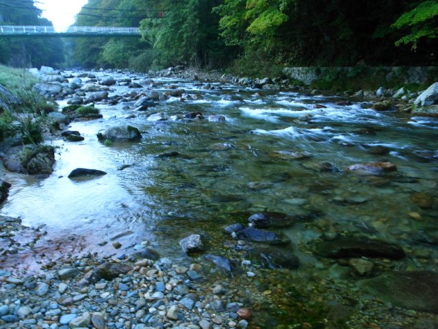 ニコニコ荘 湯屋温泉 炭酸泉の温泉旅館 下呂温泉_f0209122_1953390.jpg