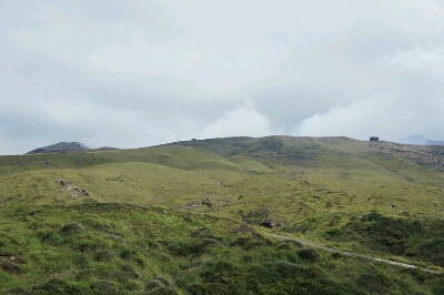 d0155128_2018781.jpg