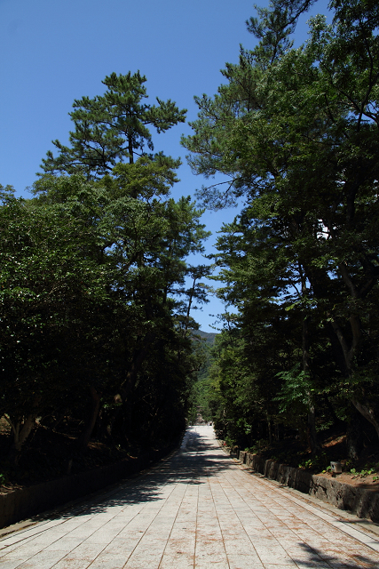 b0169330_23314235.jpg