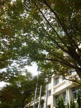 c0237432_1725532.jpg