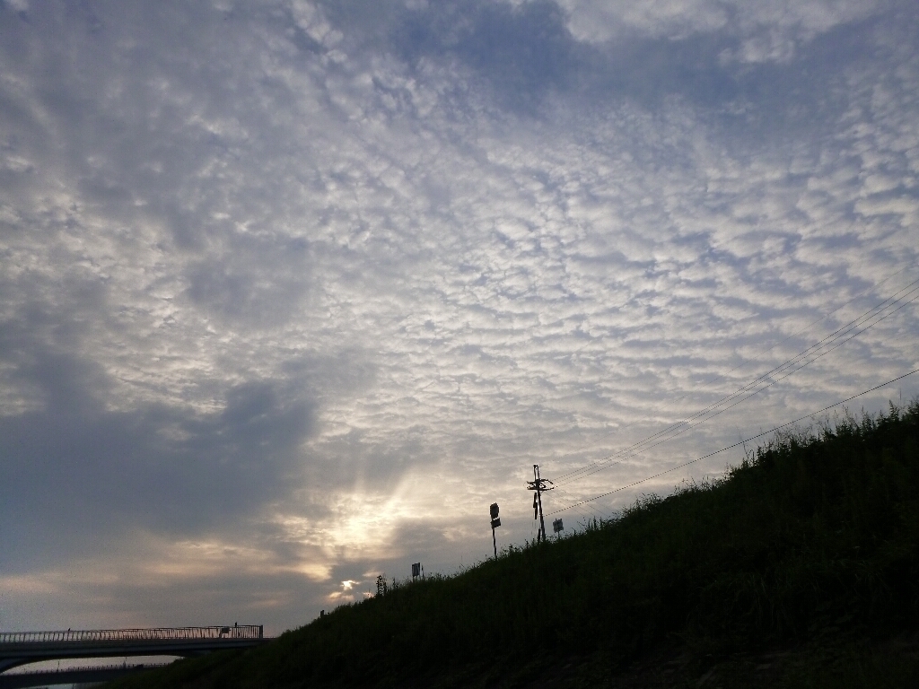 宇治川でBASS釣り・・・★_c0113733_018072.jpg