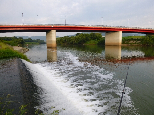 宇治川でBASS釣り・・・★_c0113733_0191218.jpg