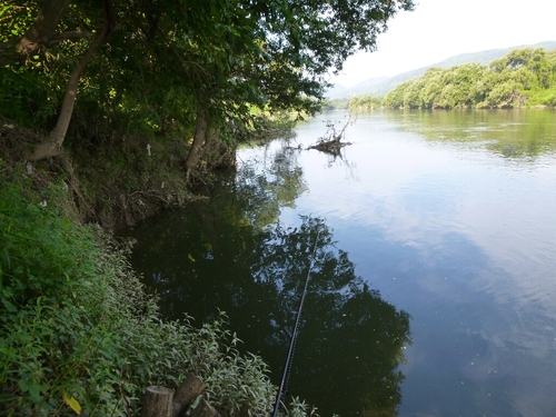 宇治川でBASS釣り・・・★_c0113733_0193984.jpg