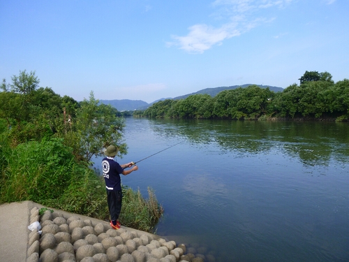 宇治川でBASS釣り・・・★_c0113733_02074.jpg