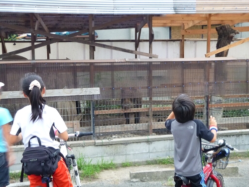 宇治川でBASS釣り・・・★_c0113733_025833.jpg