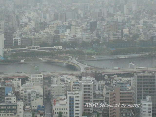 雨の中の東京スカイツリー_a0207736_23211311.jpg