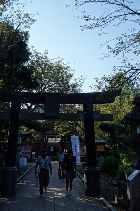 a0287336_22281569.jpg