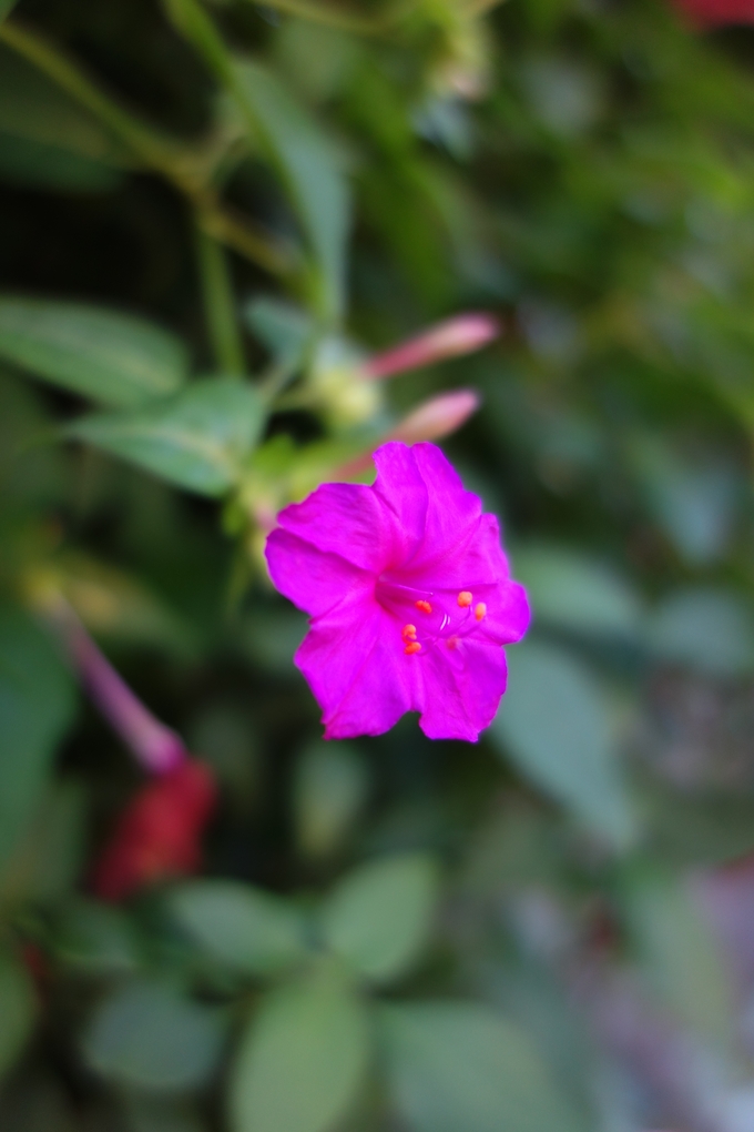 a0287336_22345017.jpg