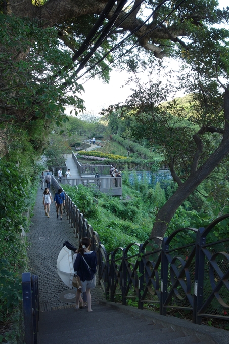 a0287336_2236456.jpg