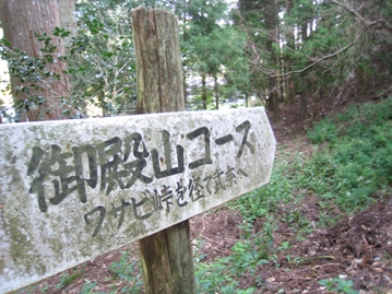 c0077338_6565148.jpg