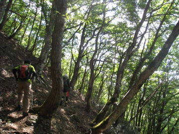 c0077338_6575478.jpg