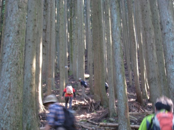 c0077338_657983.jpg