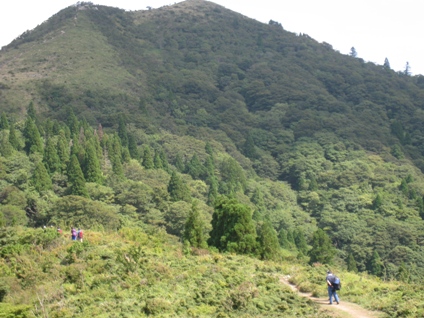 c0077338_6584631.jpg