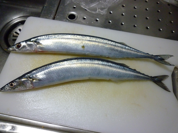 サンマをさばく_b0217741_2351681.jpg