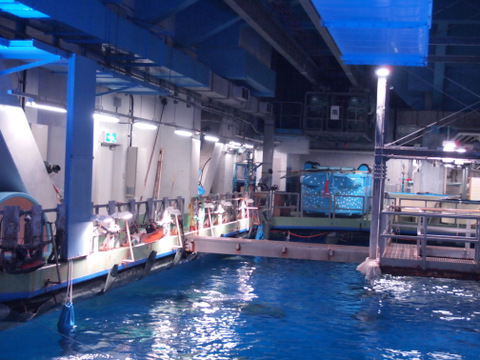 水族館の「うら側」_b0199742_2017187.jpg