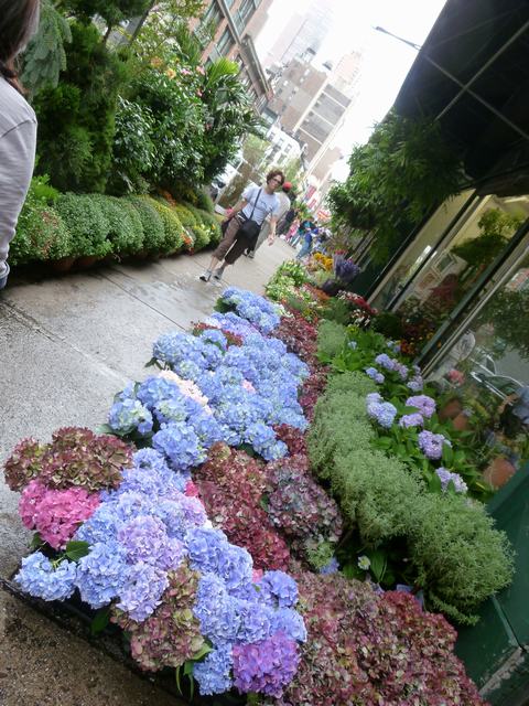 28丁目の花の卸市場であそんで、_a0170045_1013393.jpg