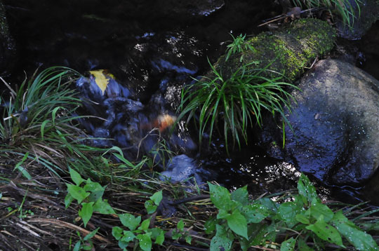 c0093046_8135251.jpg