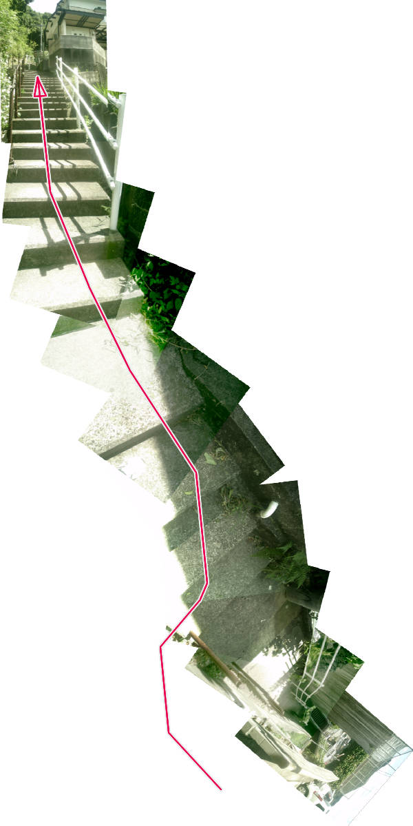 e0033751_1149384.jpg