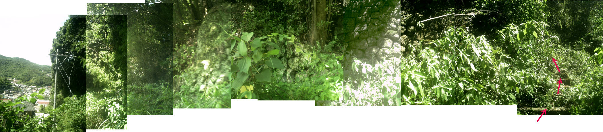 e0033751_11554738.jpg