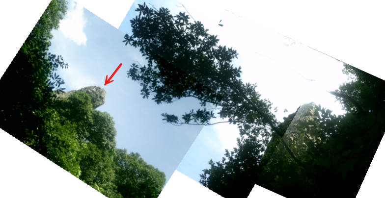 e0033751_122342.jpg