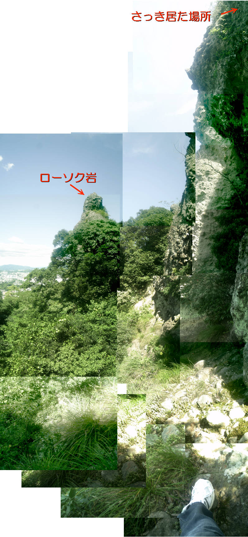 e0033751_1441925.jpg