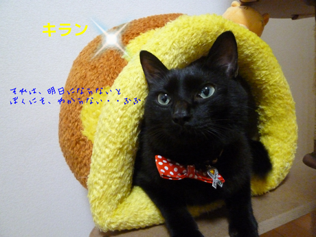 d0170555_213914100.png