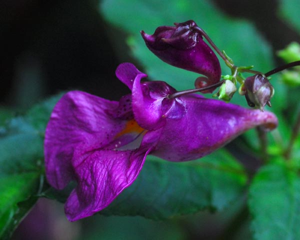 e0035757_18541616.jpg