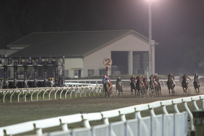 SJT2012 ワイルドカード第1戦 ブロンズサドル賞 その2_a0077663_3232375.jpg