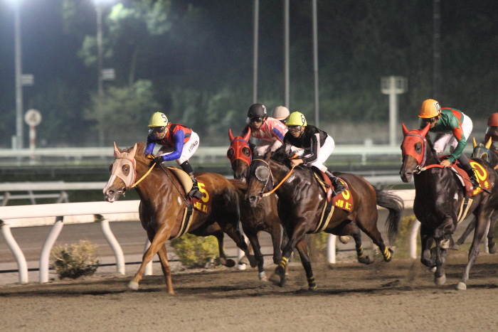 SJT2012 ワイルドカード第1戦 ブロンズサドル賞 その2_a0077663_323316.jpg