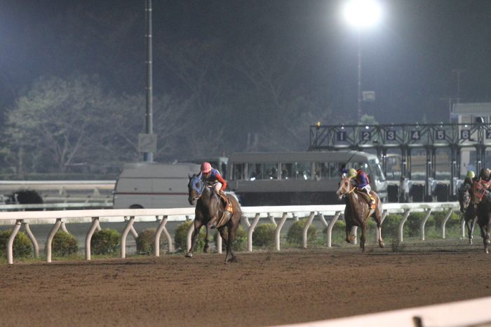 SJT2012 ワイルドカード第1戦 ブロンズサドル賞 その2_a0077663_3234190.jpg