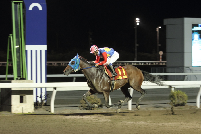 SJT2012 ワイルドカード第1戦 ブロンズサドル賞 その2_a0077663_3234895.jpg