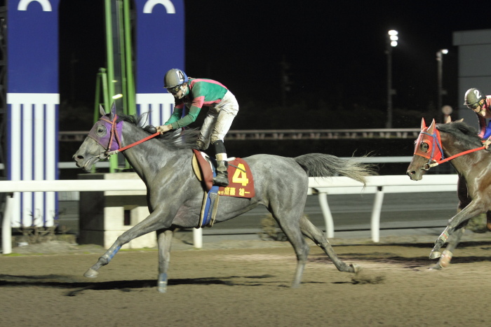 SJT2012 ワイルドカード第1戦 ブロンズサドル賞 その2_a0077663_324173.jpg