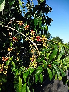 c0022164_9213589.jpg