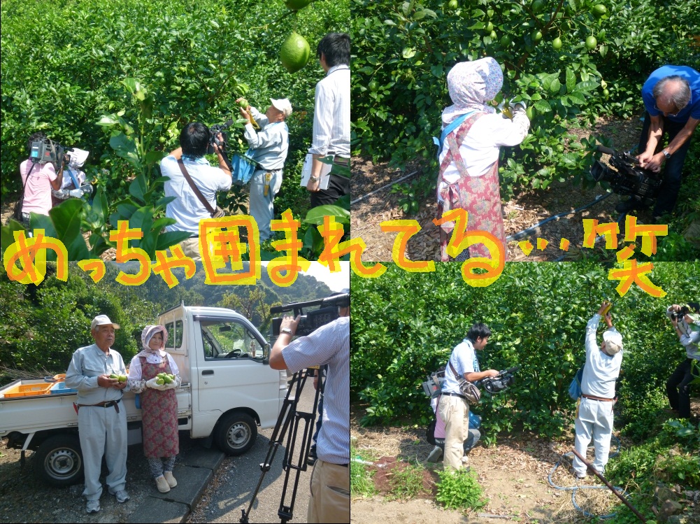 鶴見の「マリンレモン」今年初収穫！_d0168569_8464666.jpg