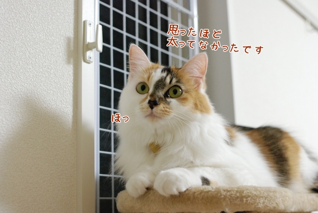 a0266372_2137163.jpg