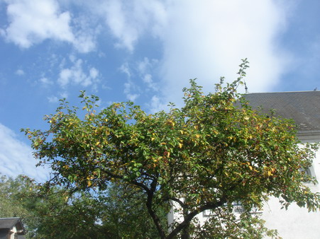 a0247585_62459.jpg