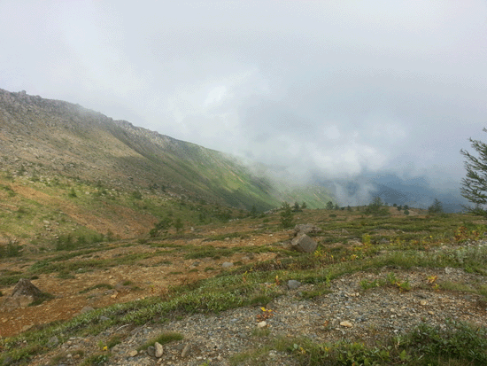 f0001993_1129384.gif